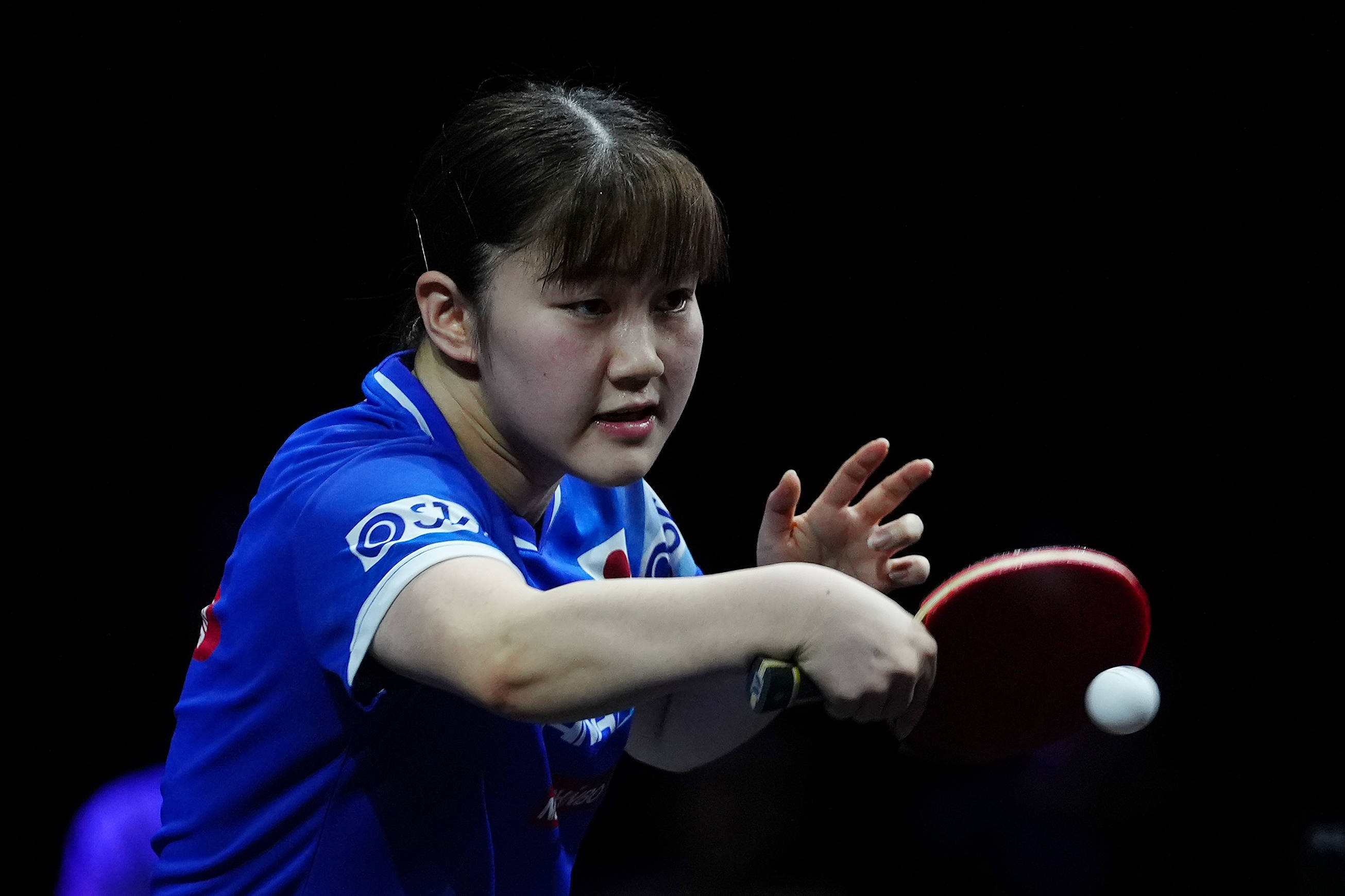 对浙江队主 对浙江队主